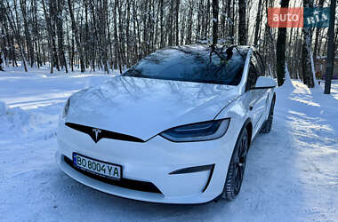 Внедорожник / Кроссовер Tesla Model X 2023 в Тернополе