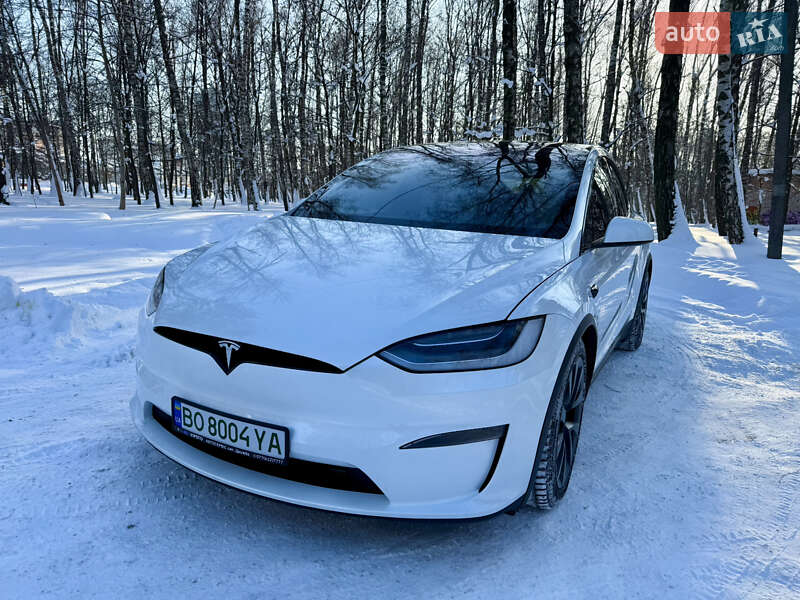Внедорожник / Кроссовер Tesla Model X 2023 в Тернополе
