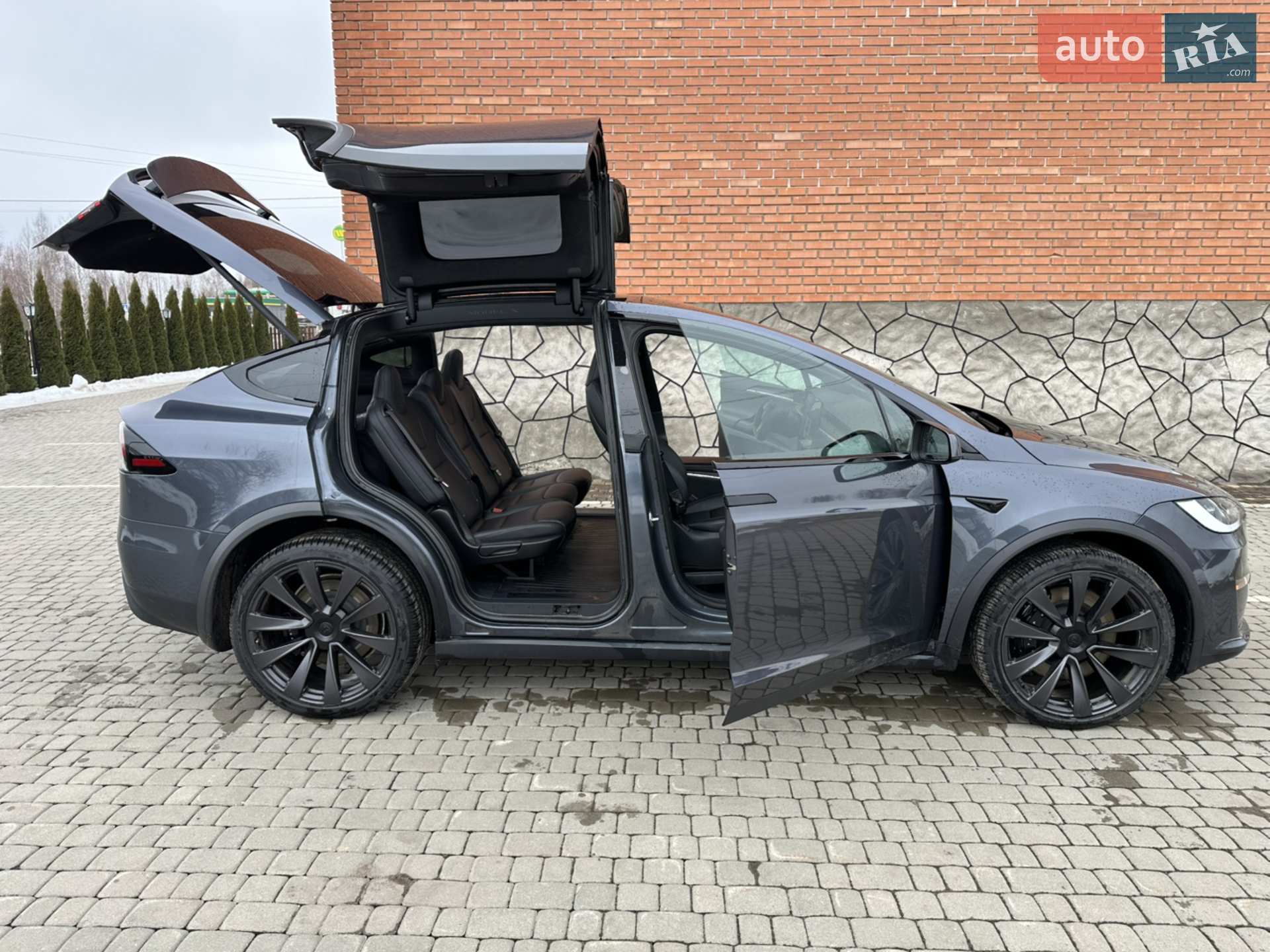 2023 Tesla Model X - мініатюра 20