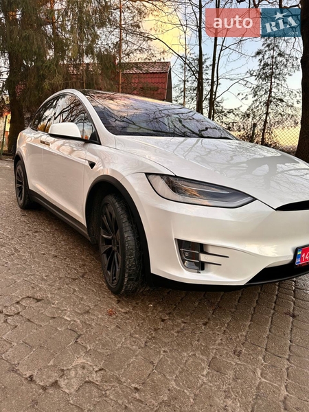 Внедорожник / Кроссовер Tesla Model X 2019 в Львове