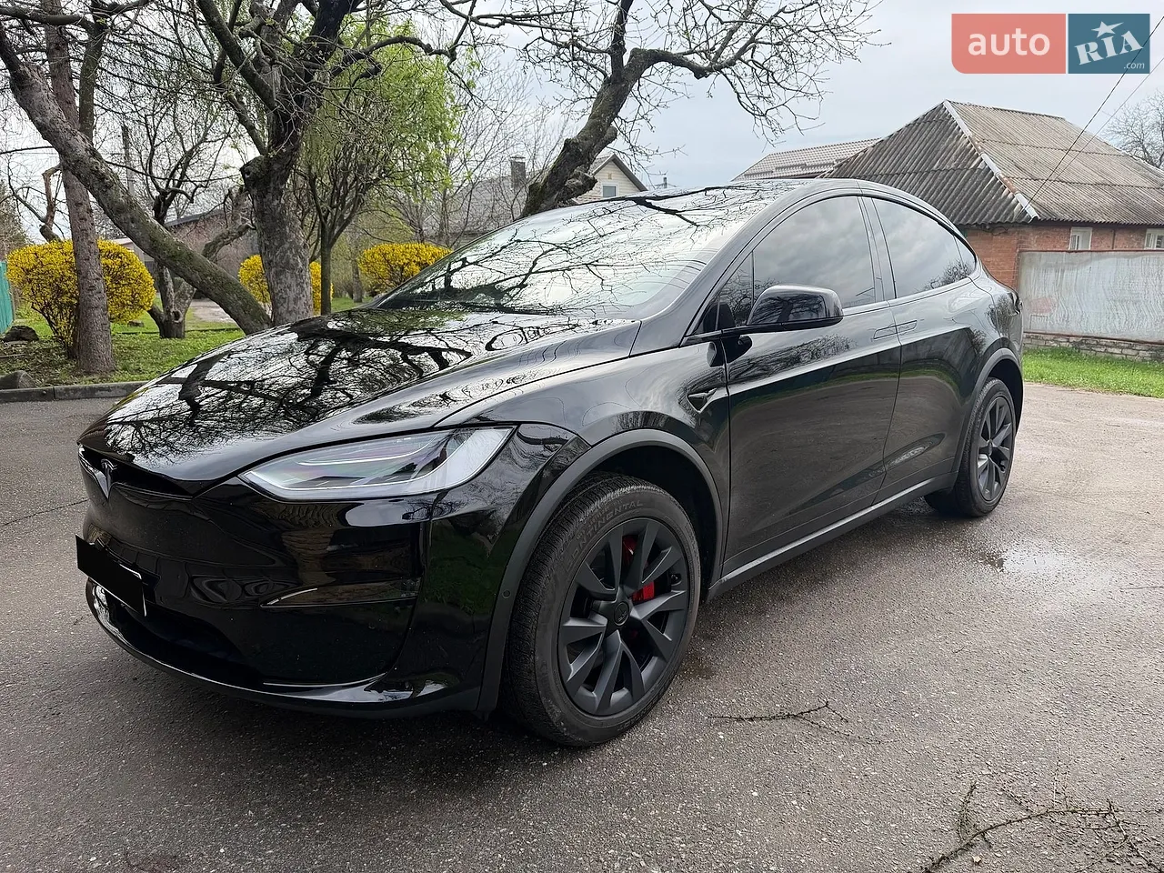 2023 Tesla Model X - мініатюра 10