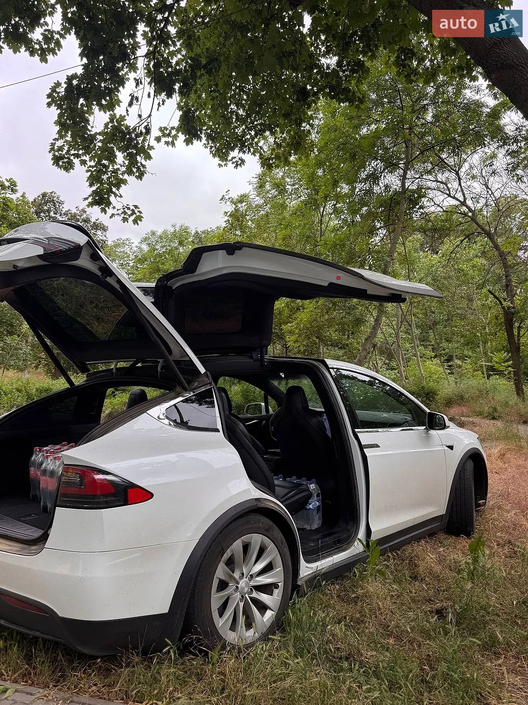 2020 Tesla Model X - мініатюра 4