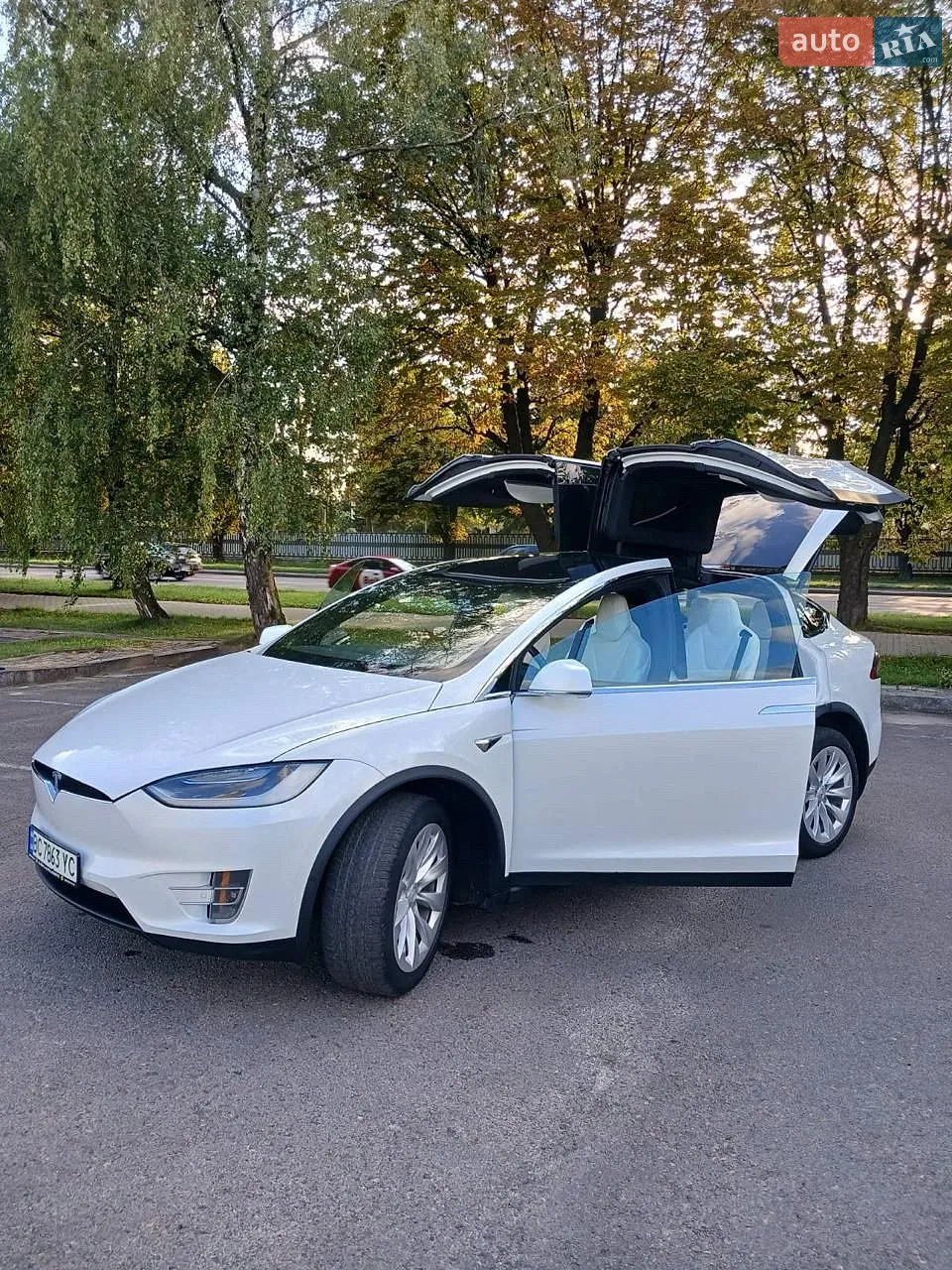 2018 Tesla Model X - мініатюра 8