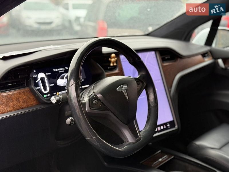 Позашляховик / Кросовер Tesla Model X 2019 в Стрию фото 41 Позашляховик / Кросовер Tesla Model X 2019 в Стрию