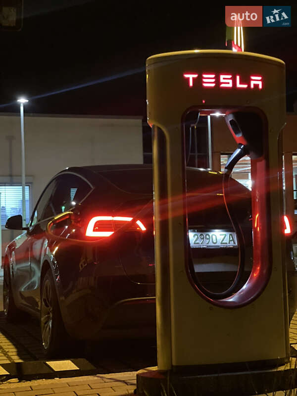 Внедорожник / Кроссовер Tesla Model Y 2020 в Киеве