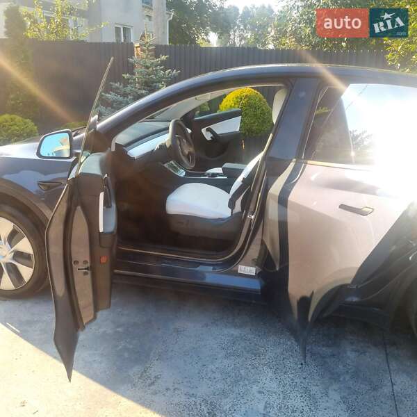 Внедорожник / Кроссовер Tesla Model Y 2020 в Тернополе