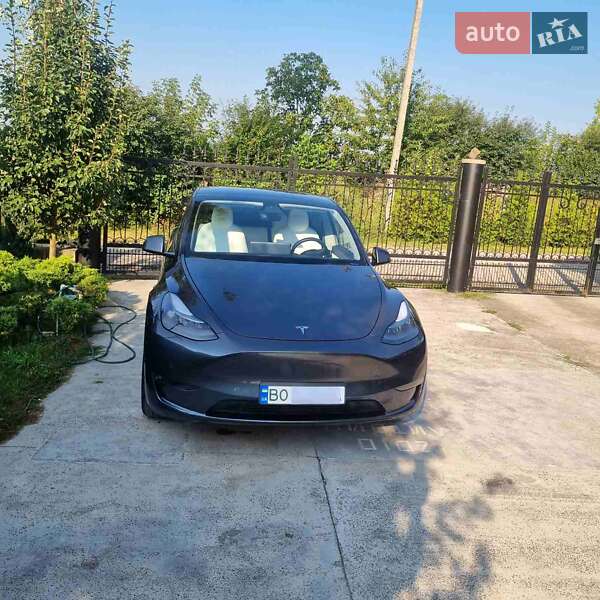 Внедорожник / Кроссовер Tesla Model Y 2020 в Тернополе