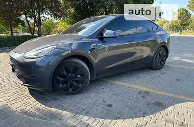 Внедорожник / Кроссовер Tesla Model Y 2021 в Каменском