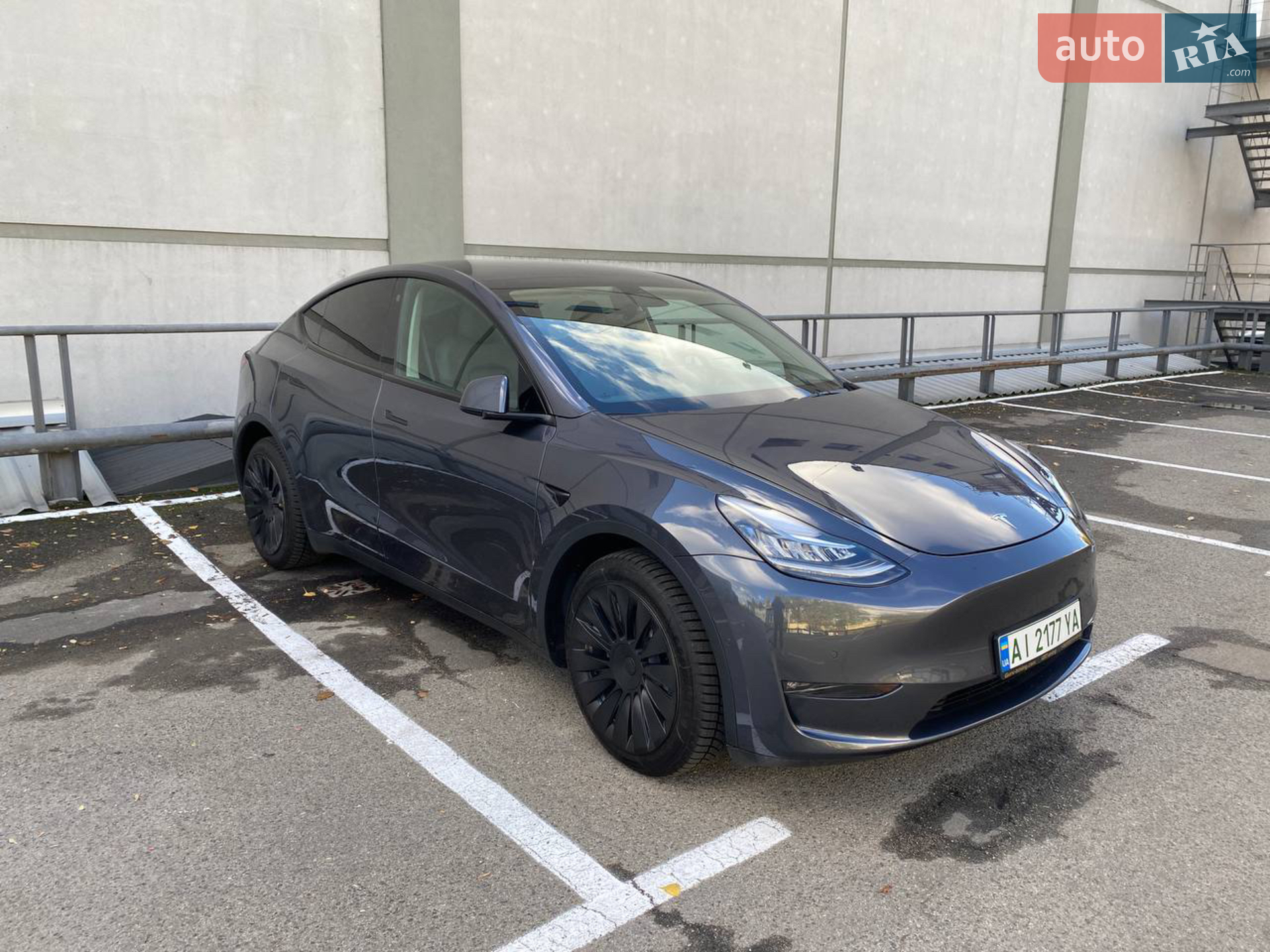 2022 Tesla Model Y - фото 1