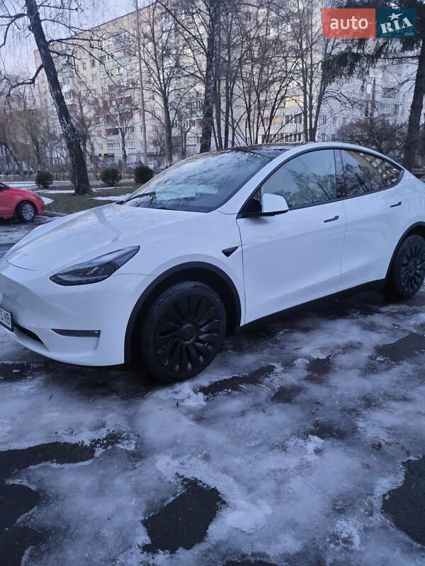 Внедорожник / Кроссовер Tesla Model Y 2022 в Чернигове