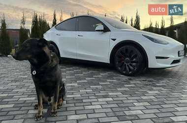 Внедорожник / Кроссовер Tesla Model Y 2022 в Киеве
