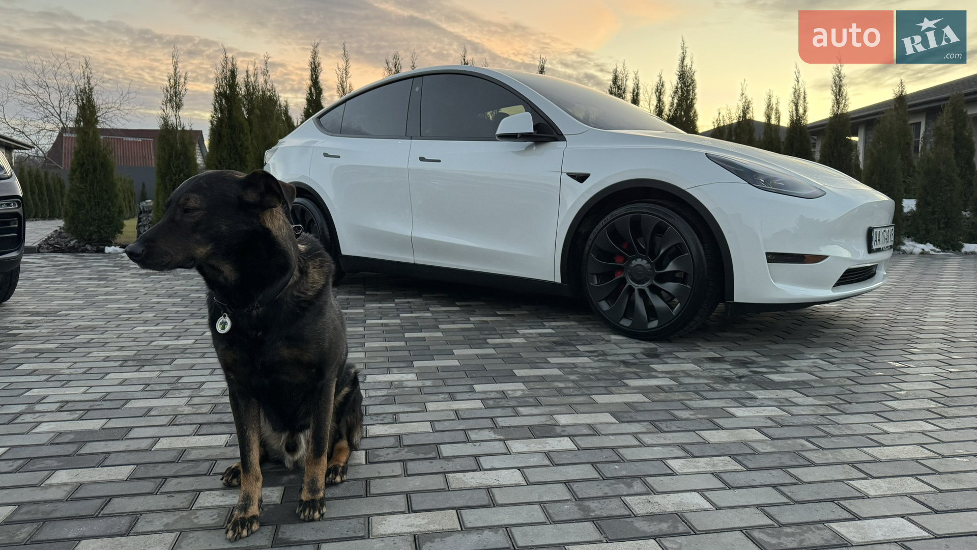 2022 Tesla Model Y - мініатюра 31