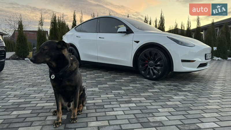 Позашляховик / Кросовер Tesla Model Y 2022 в Києві