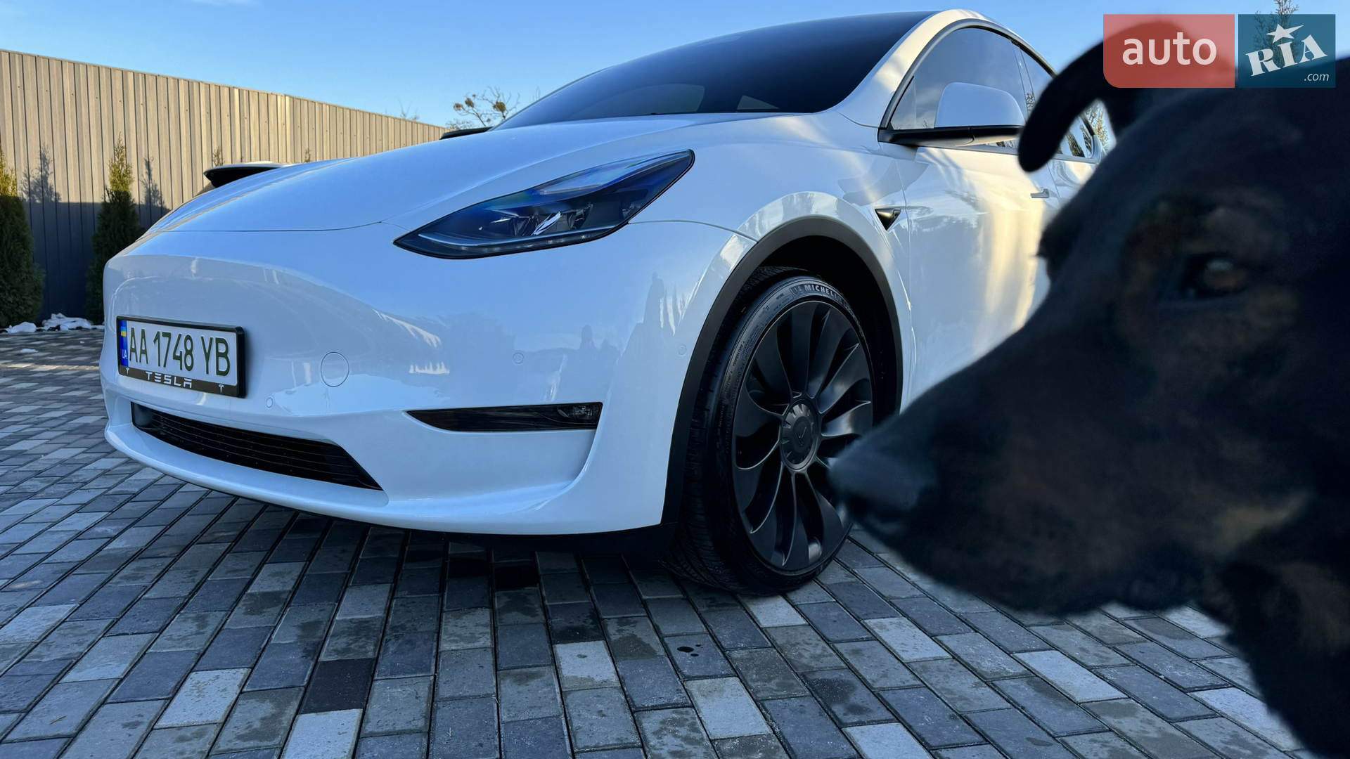 2022 Tesla Model Y - мініатюра 80