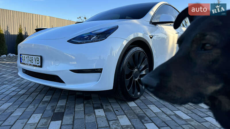 Позашляховик / Кросовер Tesla Model Y 2022 в Києві