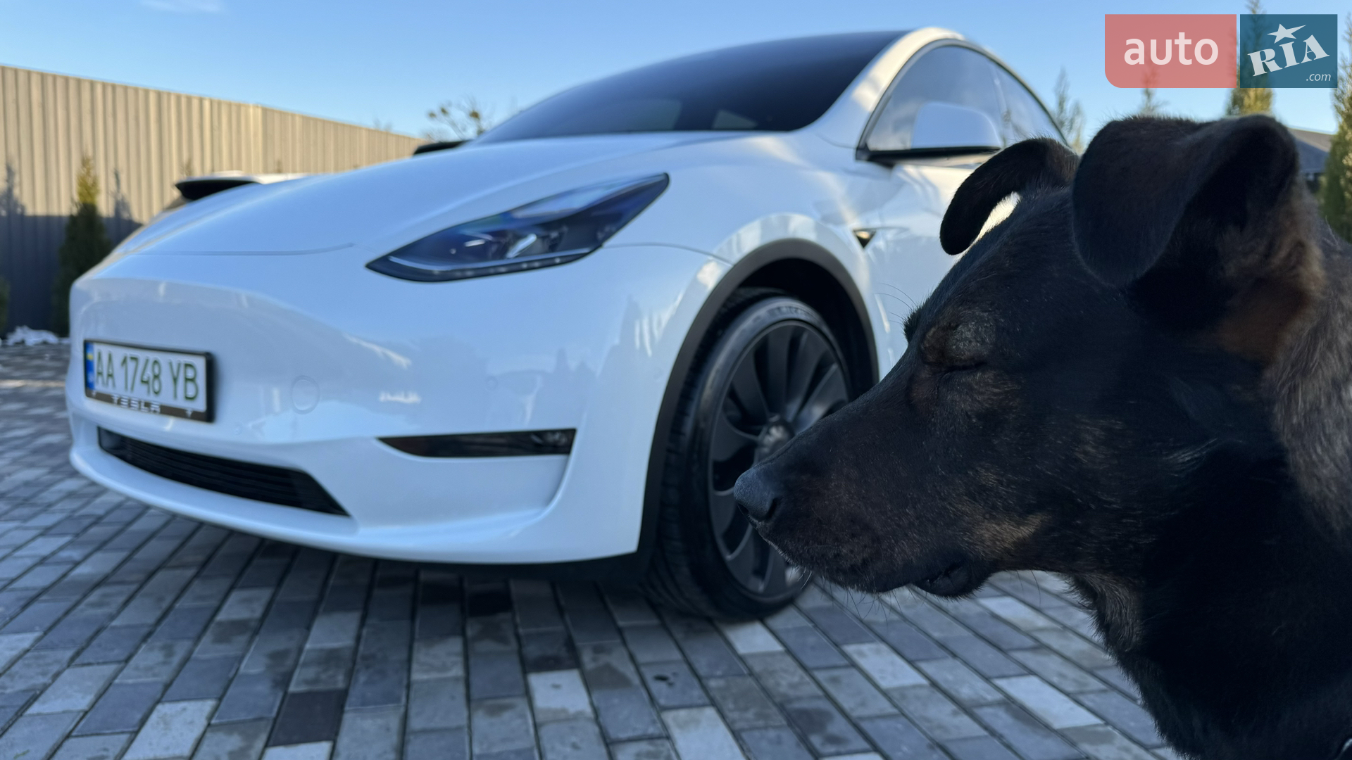 2022 Tesla Model Y - мініатюра 83