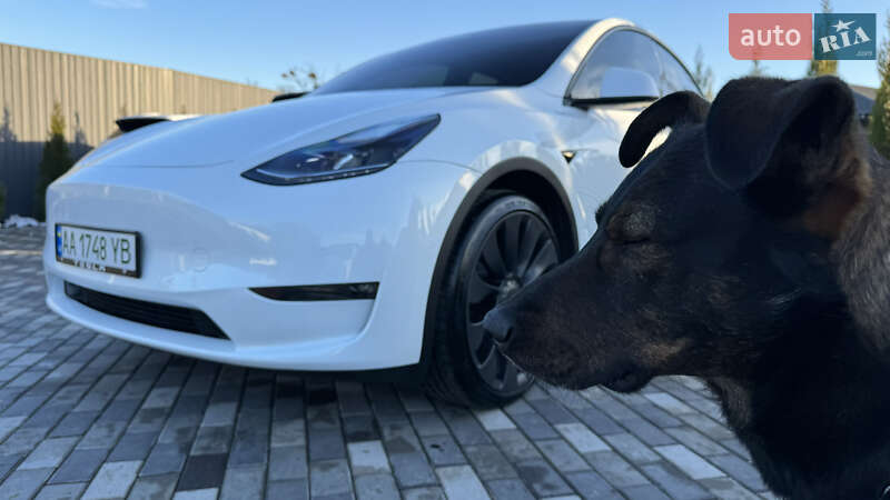 Позашляховик / Кросовер Tesla Model Y 2022 в Києві