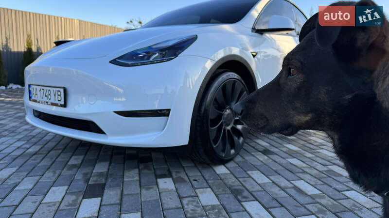Позашляховик / Кросовер Tesla Model Y 2022 в Києві