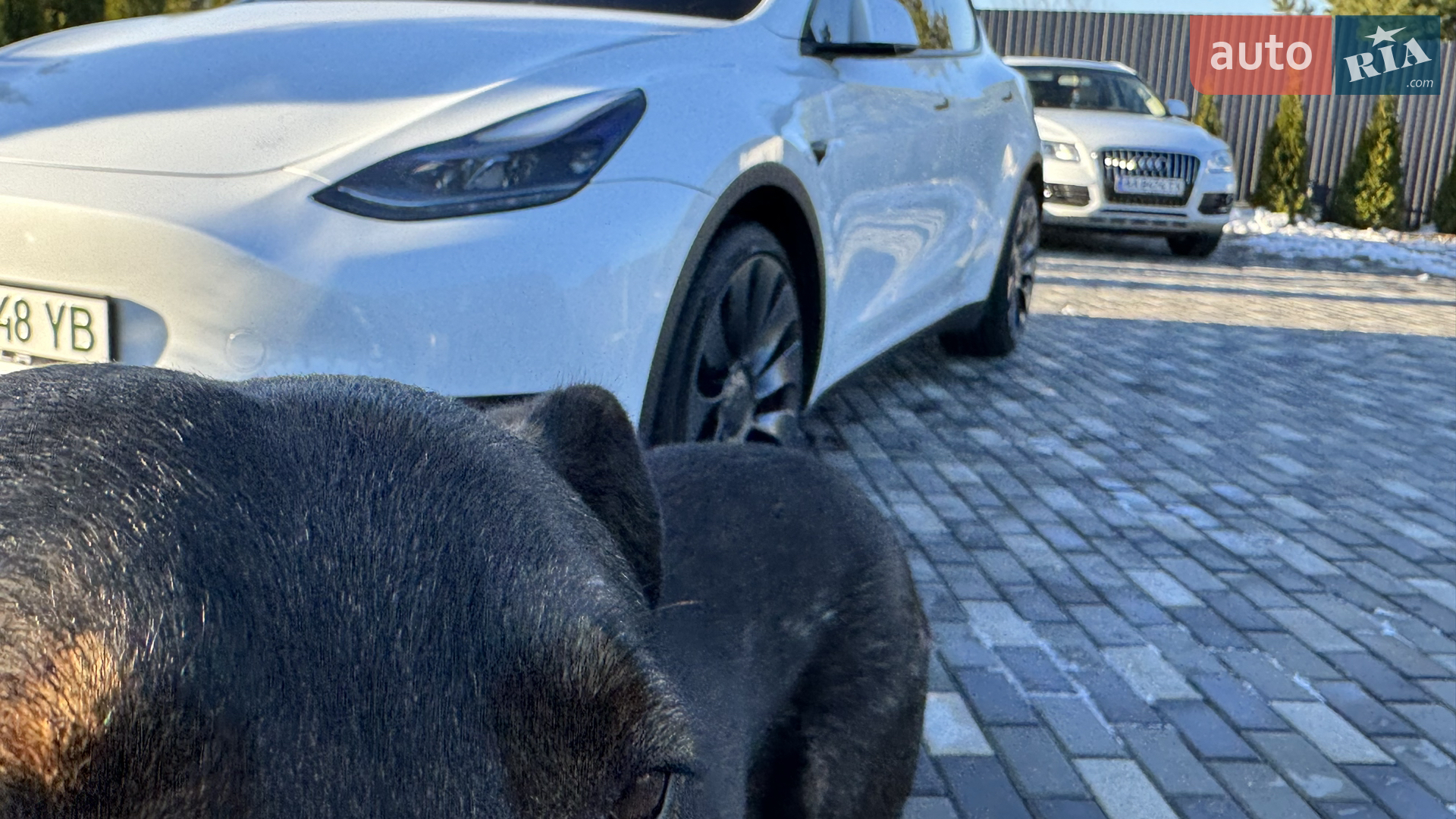 2022 Tesla Model Y - мініатюра 194