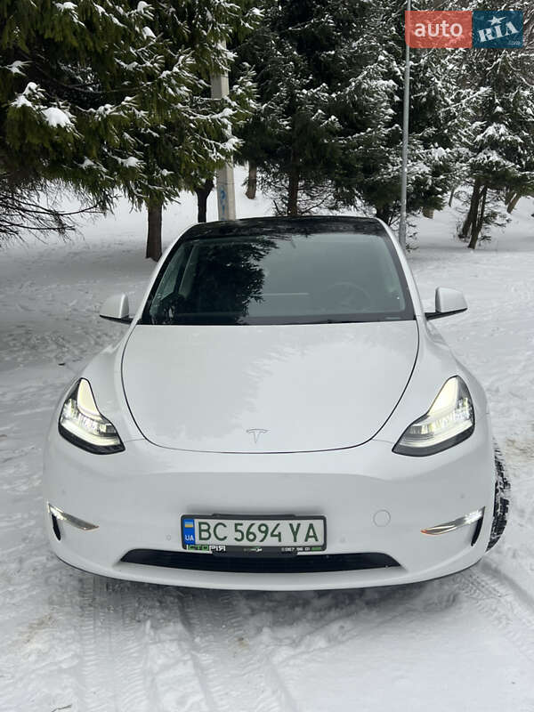 Внедорожник / Кроссовер Tesla Model Y 2021 в Львове