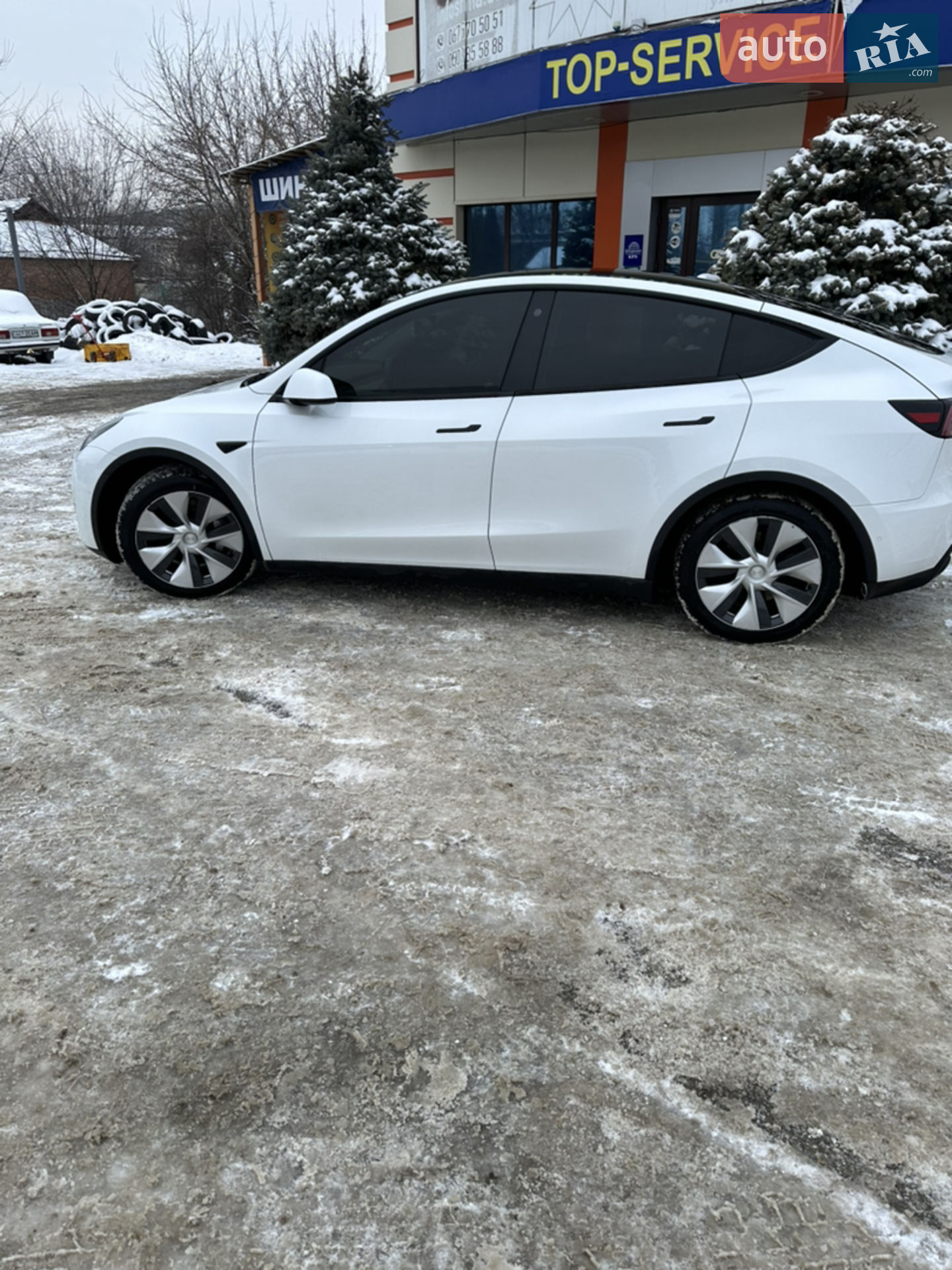 2021 Tesla Model Y - фото 1