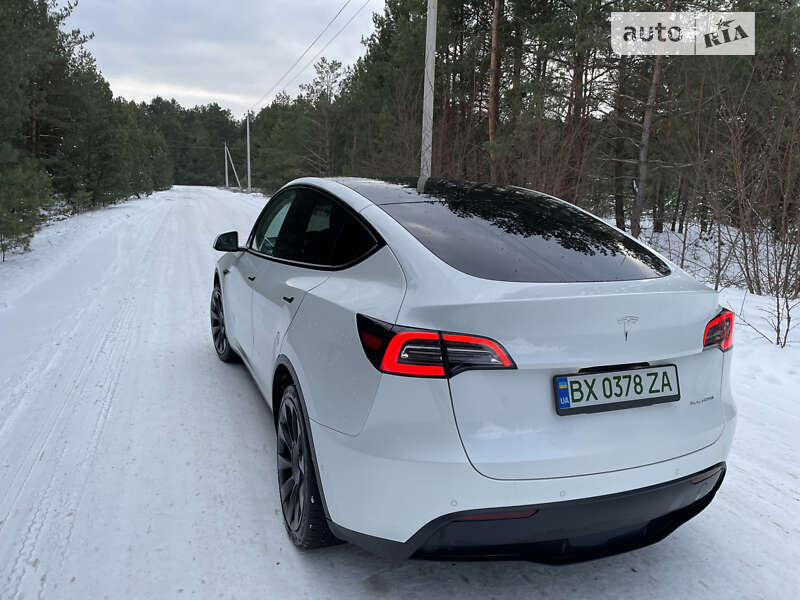 Внедорожник / Кроссовер Tesla Model Y 2021 в Ровно