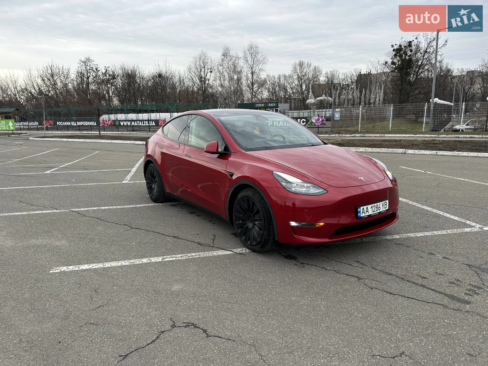 2020 Tesla Model Y - мініатюра 20