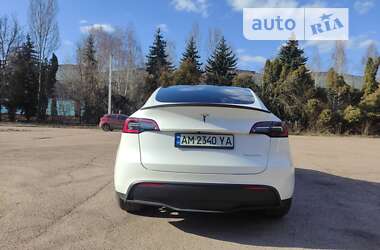 Внедорожник / Кроссовер Tesla Model Y 2022 в Житомире