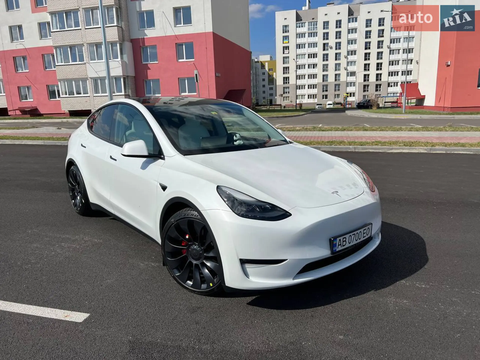 2023 Tesla Model Y - фото 1