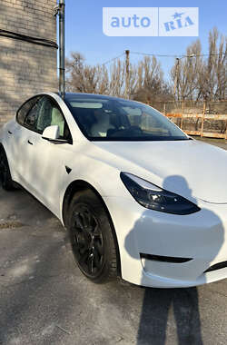 Позашляховик / Кросовер Tesla Model Y 2021 в Запоріжжі