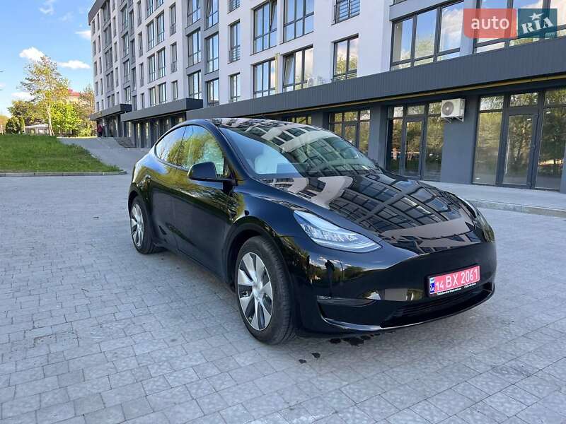 Внедорожник / Кроссовер Tesla Model Y 2020 в 