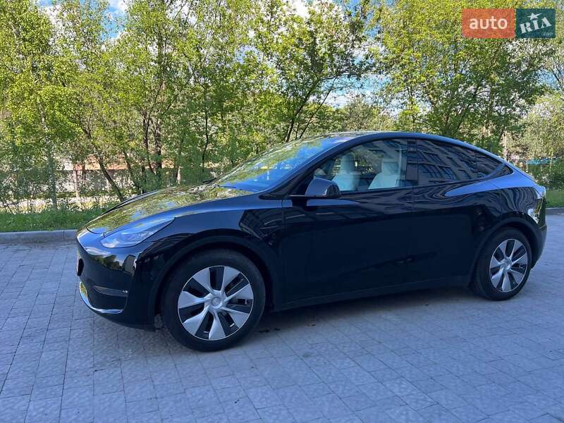 Позашляховик / Кросовер Tesla Model Y 2020 в Краматорську