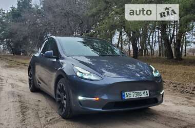 Внедорожник / Кроссовер Tesla Model Y 2021 в Павлограде