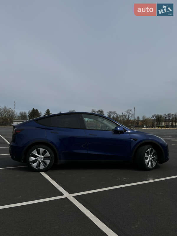 Внедорожник / Кроссовер Tesla Model Y 2020 в Виннице