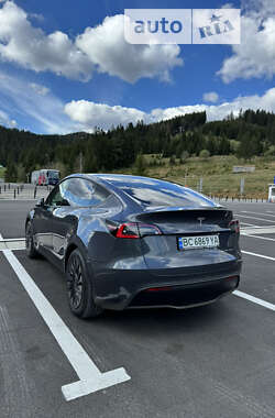 Внедорожник / Кроссовер Tesla Model Y 2021 в Львове