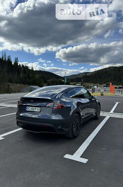 Внедорожник / Кроссовер Tesla Model Y 2021 в Львове