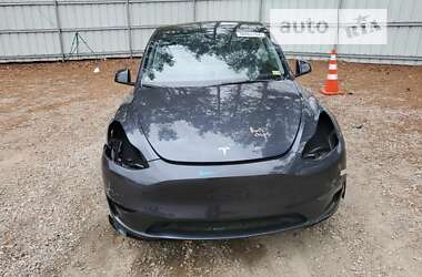 Внедорожник / Кроссовер Tesla Model Y 2024 в Днепре