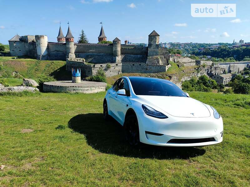 Внедорожник / Кроссовер Tesla Model Y 2020 в Каменец-Подольском