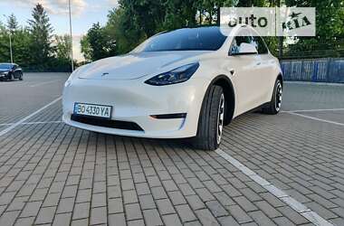 Внедорожник / Кроссовер Tesla Model Y 2023 в Тернополе