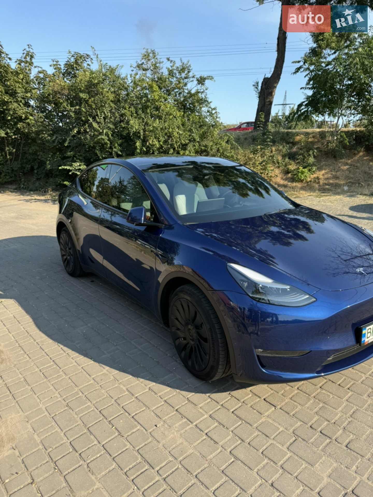 2023 Tesla Model Y - фото 1