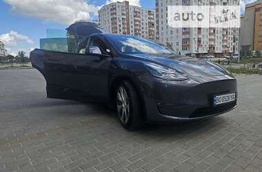 Позашляховик / Кросовер Tesla Model Y 2021 в Тернополі