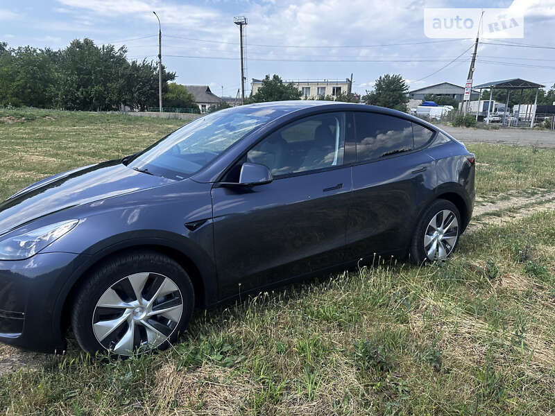 Внедорожник / Кроссовер Tesla Model Y 2023 в Черкассах