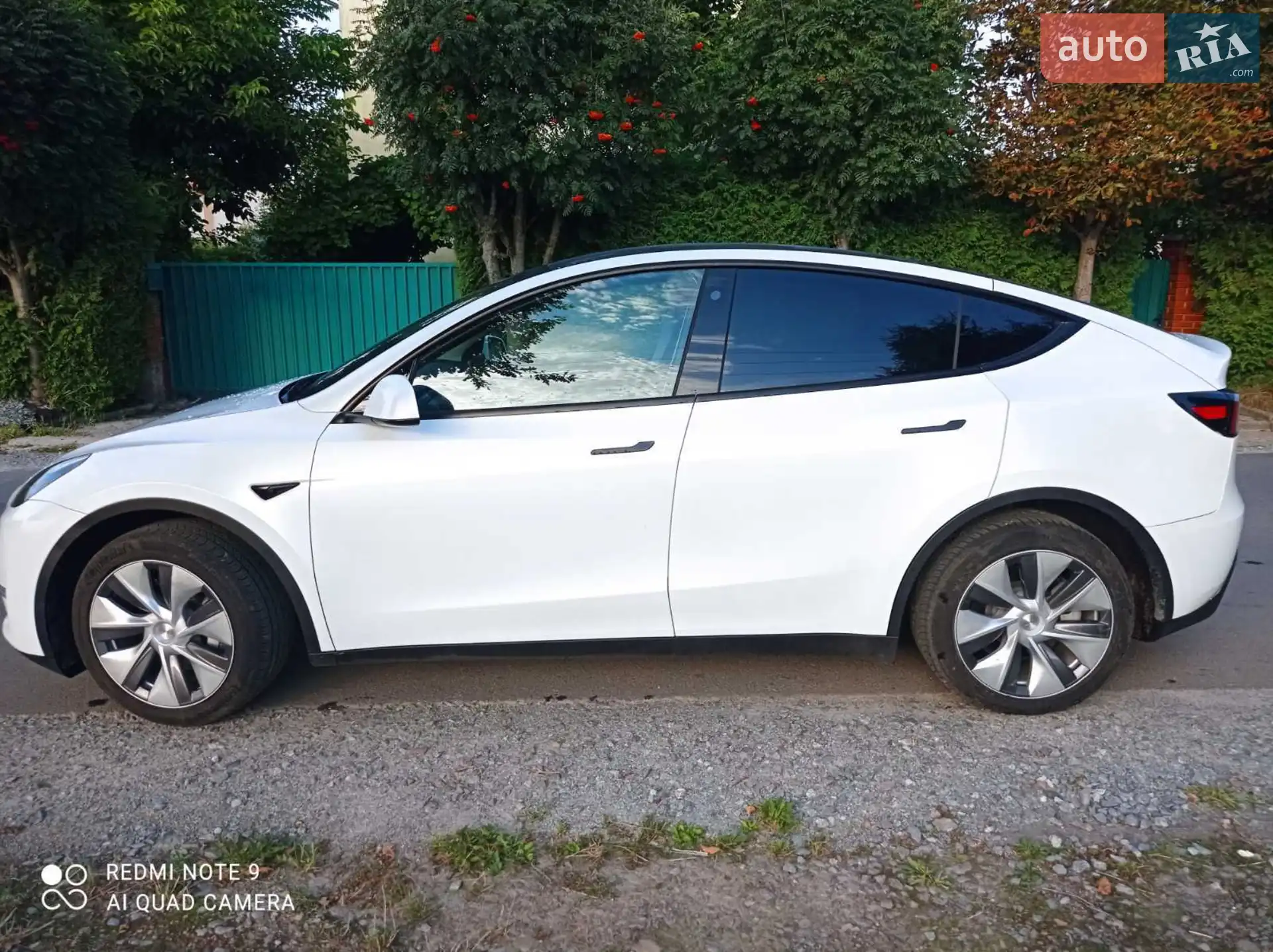 2023 Tesla Model Y - мініатюра 5