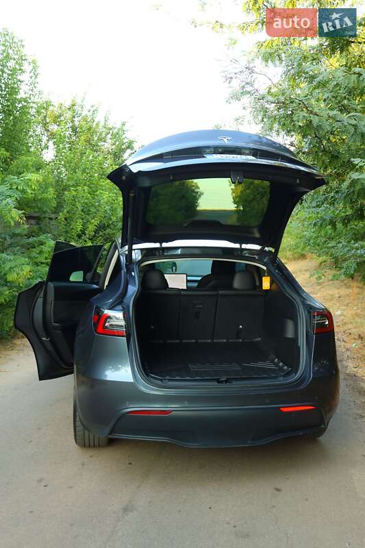 Внедорожник / Кроссовер Tesla Model Y 2021 в Кривом Роге