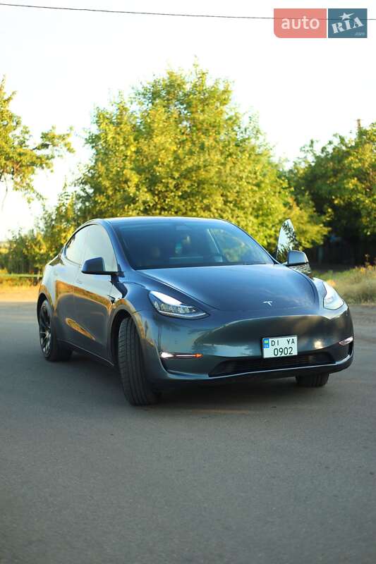 Внедорожник / Кроссовер Tesla Model Y 2021 в Кривом Роге