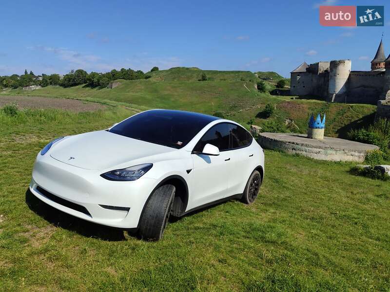 Внедорожник / Кроссовер Tesla Model Y 2020 в Каменец-Подольском