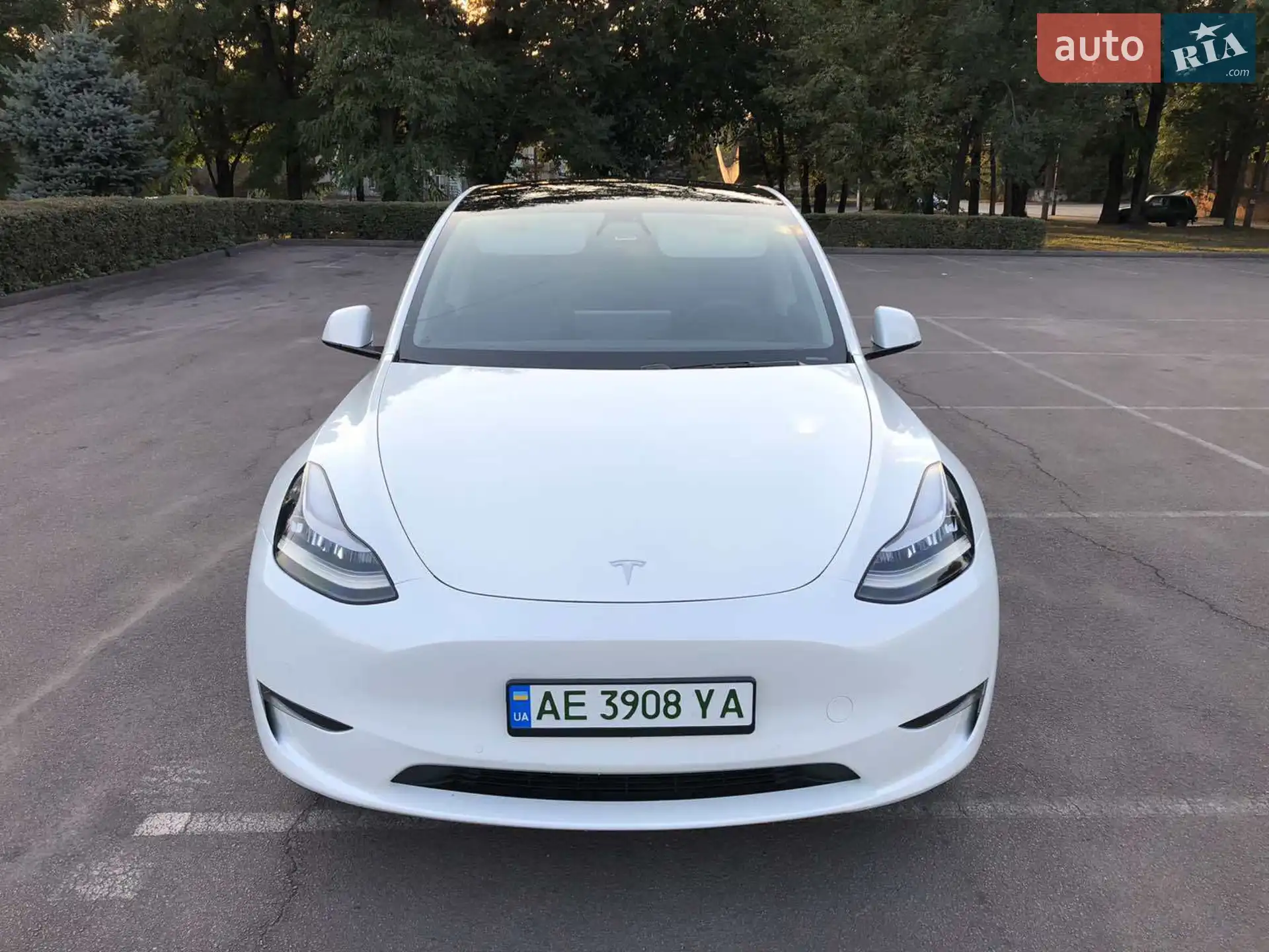 2020 Tesla Model Y - мініатюра 3
