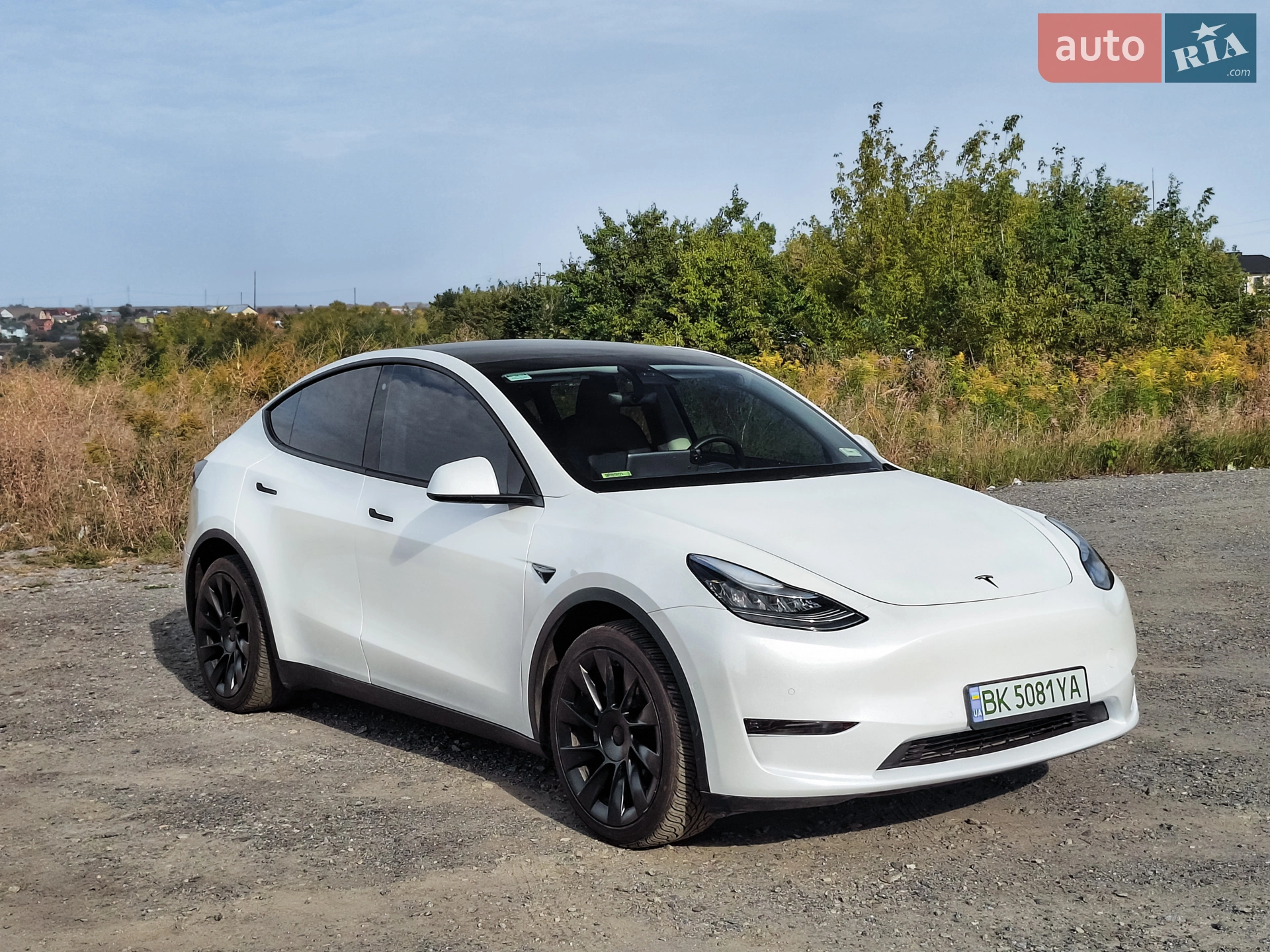 2020 Tesla Model Y - мініатюра 4