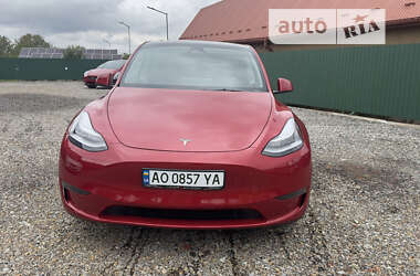 Внедорожник / Кроссовер Tesla Model Y 2023 в Виноградове