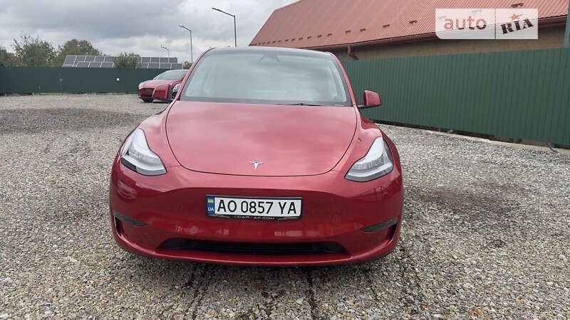 Внедорожник / Кроссовер Tesla Model Y 2023 в Виноградове фото 2 Внедорожник / Кроссовер Tesla Model Y 2023 в Виноградове